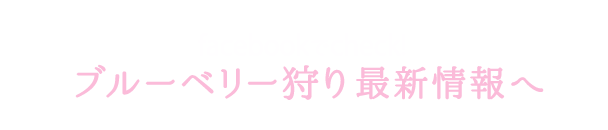 ブルーベリー狩り最新情報へ