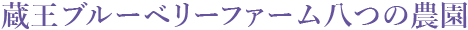 蔵王ブルーベリーファーム八つの農園