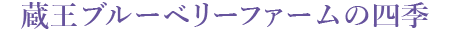 蔵王ブルーベリーファームの四季