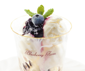 ブルーベリーサンデー