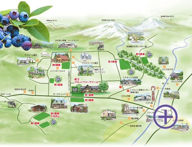 蔵王ブルーベリーファーム八つの農園