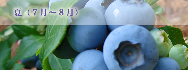夏（７月〜８月）