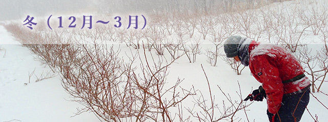 冬（１２月〜３月）